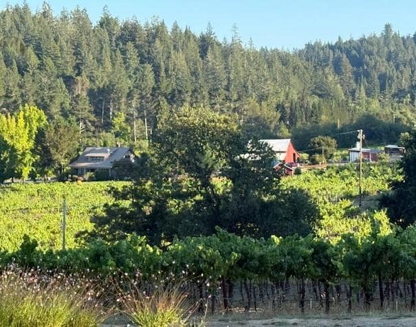 This is a view from the front of the house.