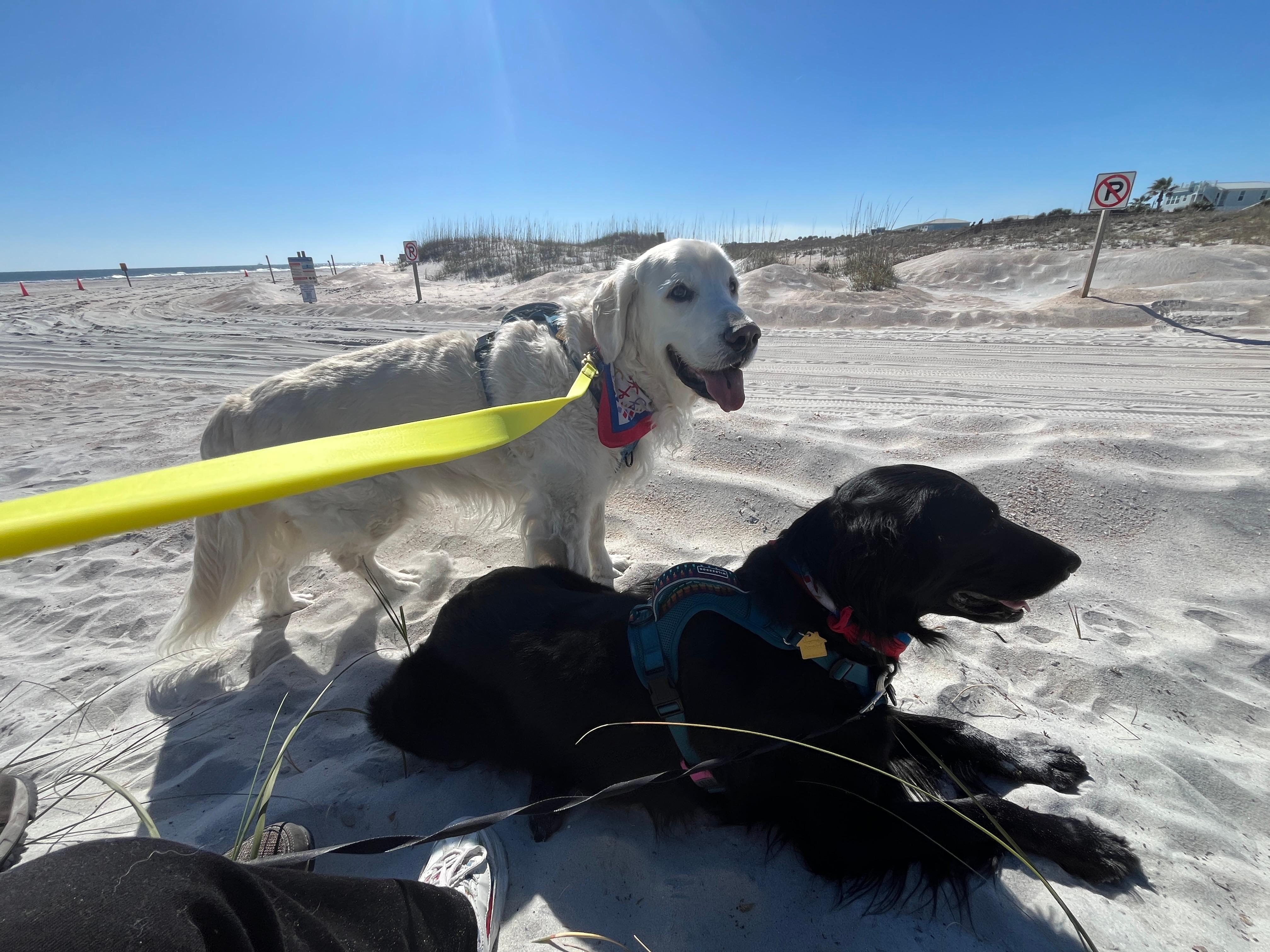 Easy beach access 1/2 block away. 