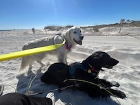 Easy beach access 1/2 block away.