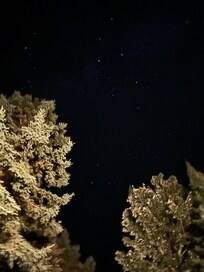 So many stars!
