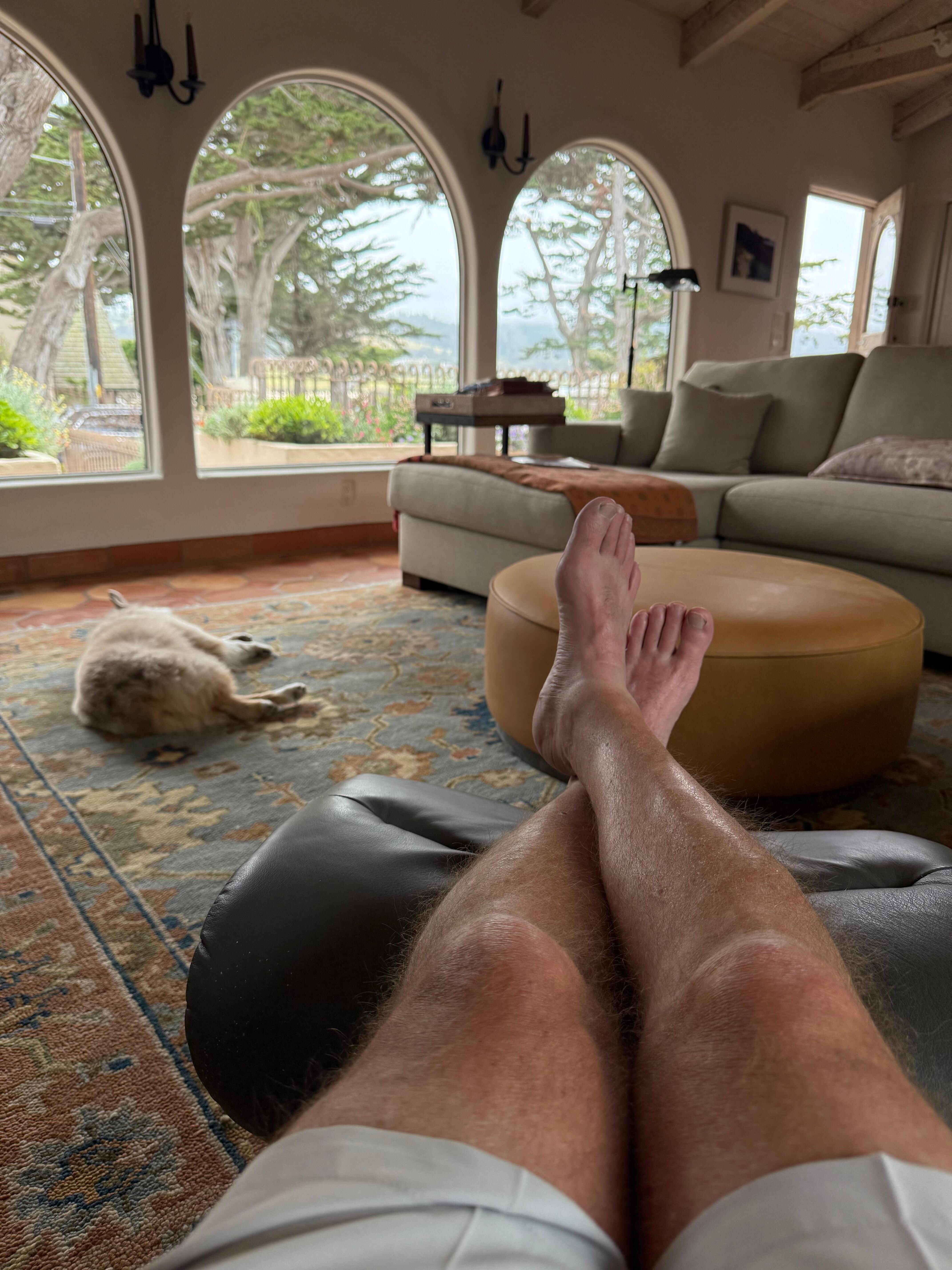 Relaxing in the living area with pup