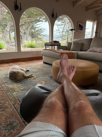 Relaxing in the living area with pup