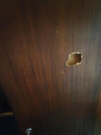 Damaged washroom door