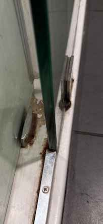 Shower door