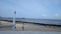 The beach has piles of rotten seaweeds. The whole hotel smells like bad eggs