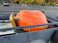 Huge pumpkin- don’t know if it won a prize but we hope it did!