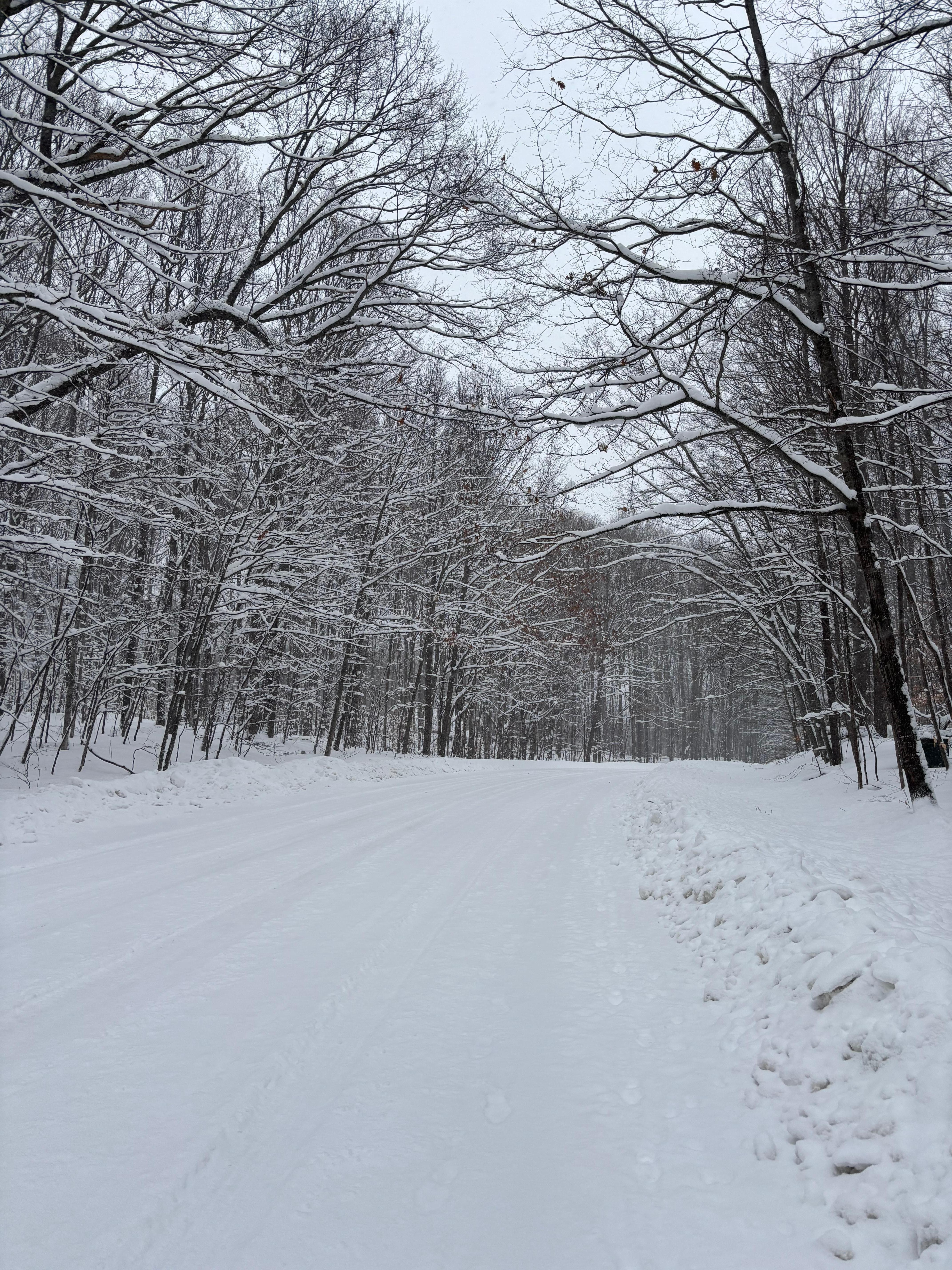 This is the view during morning walks. 