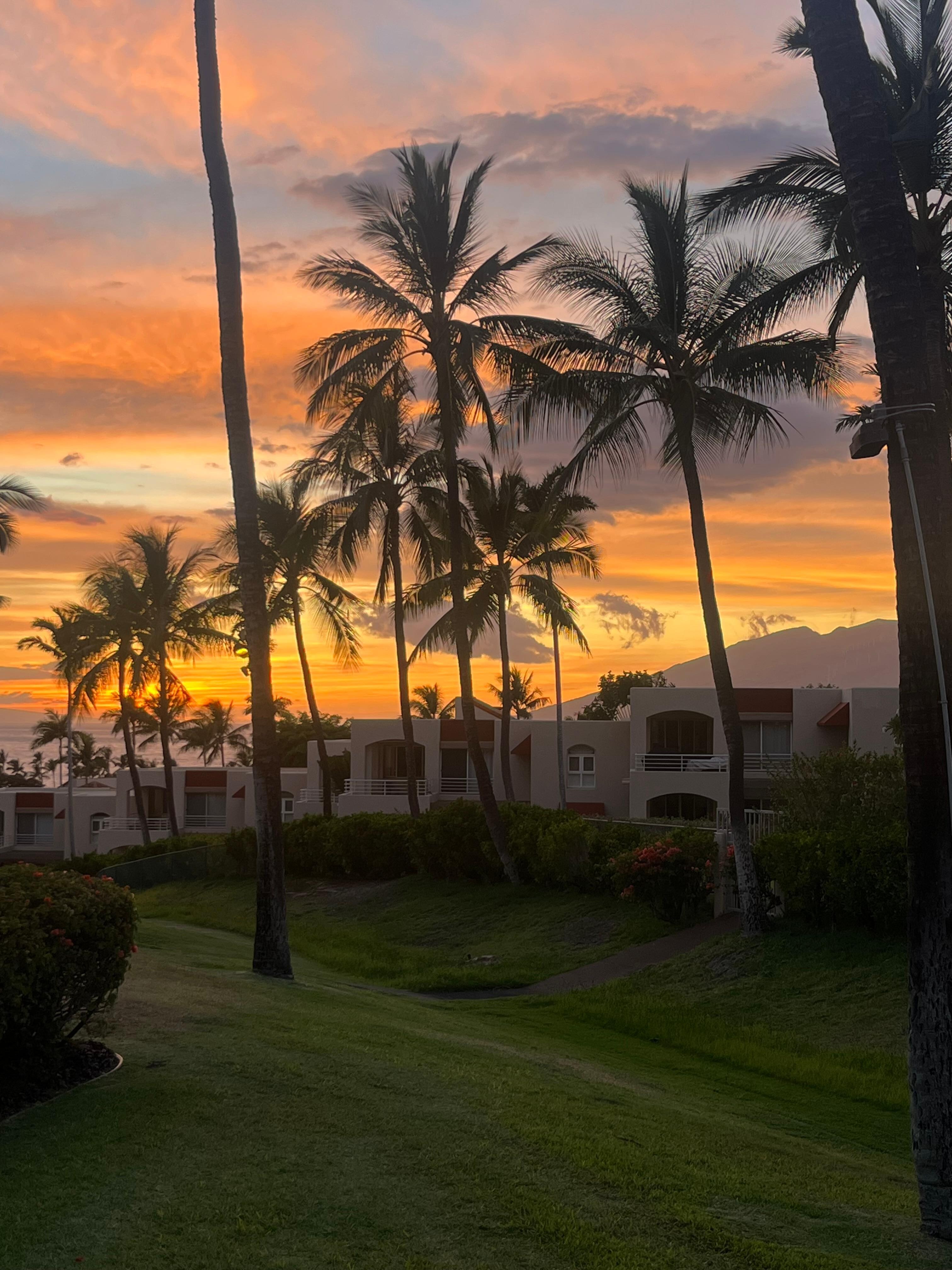 Sunset view from the lanai.