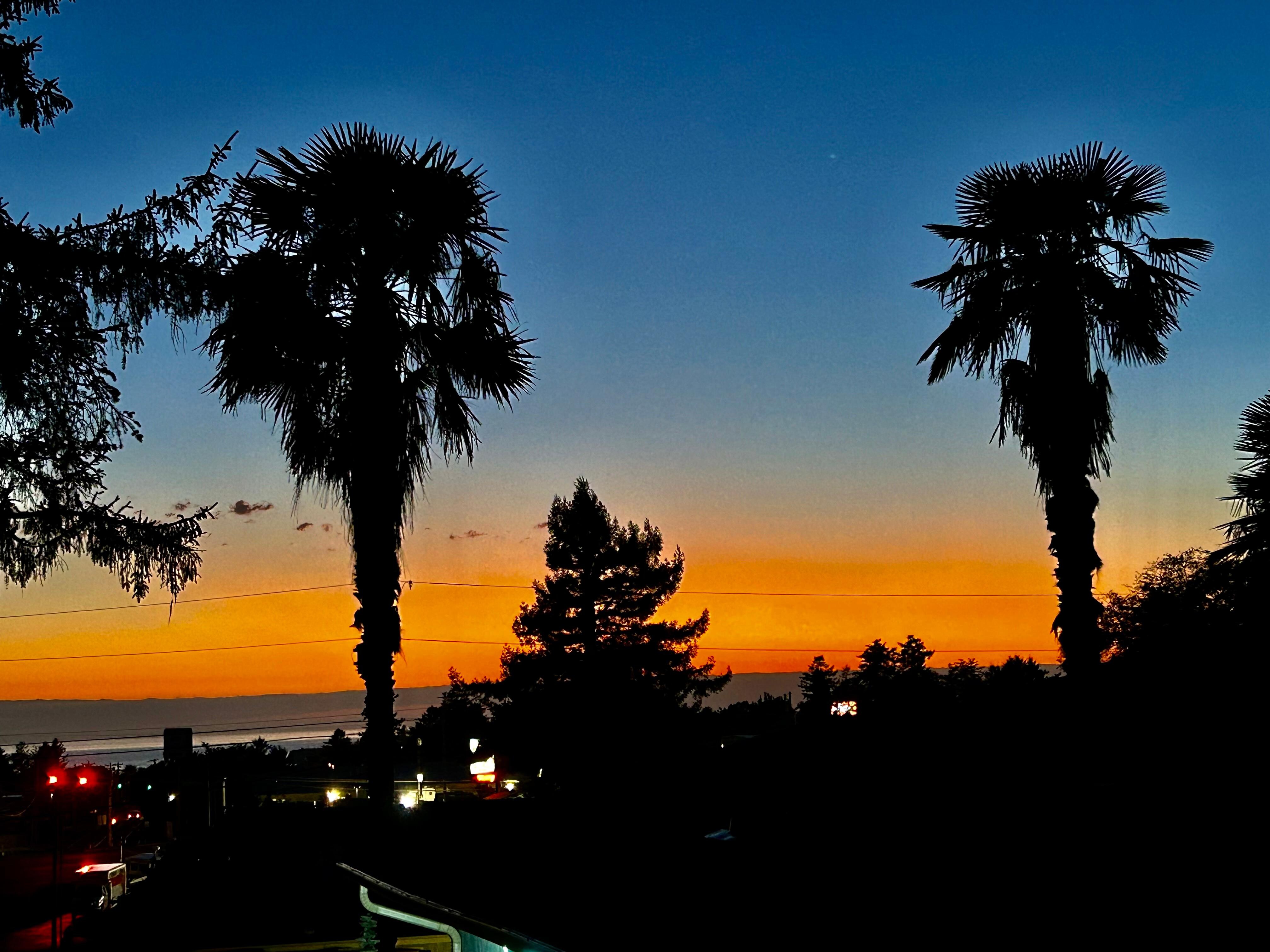Lovely sunset over the harbor as viewed from the deck at Seas the Day.