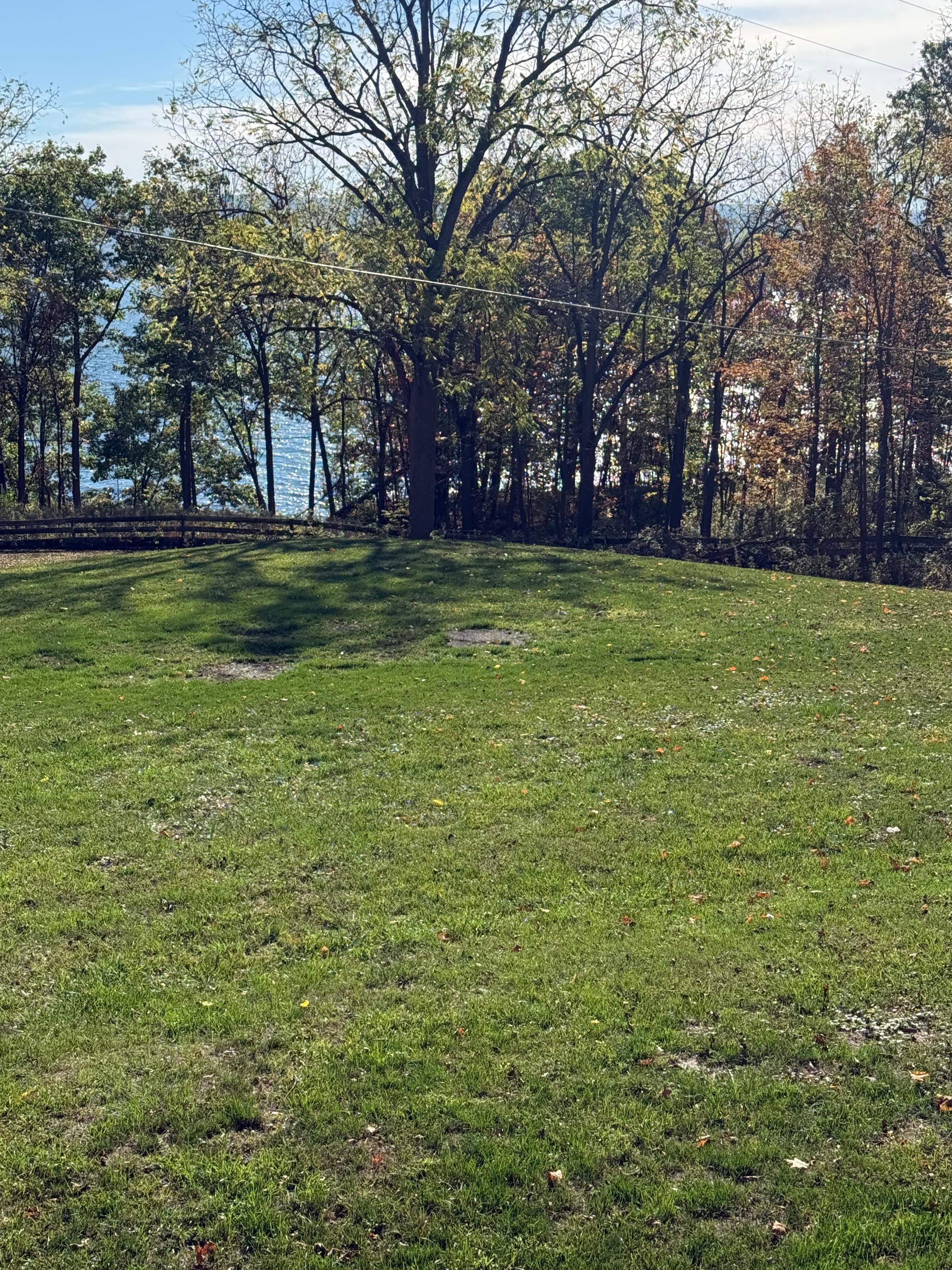 View from the back deck