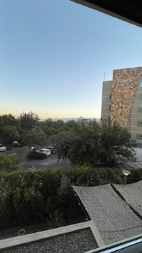 Lovely dawn from my room. Love the flowers on the property.