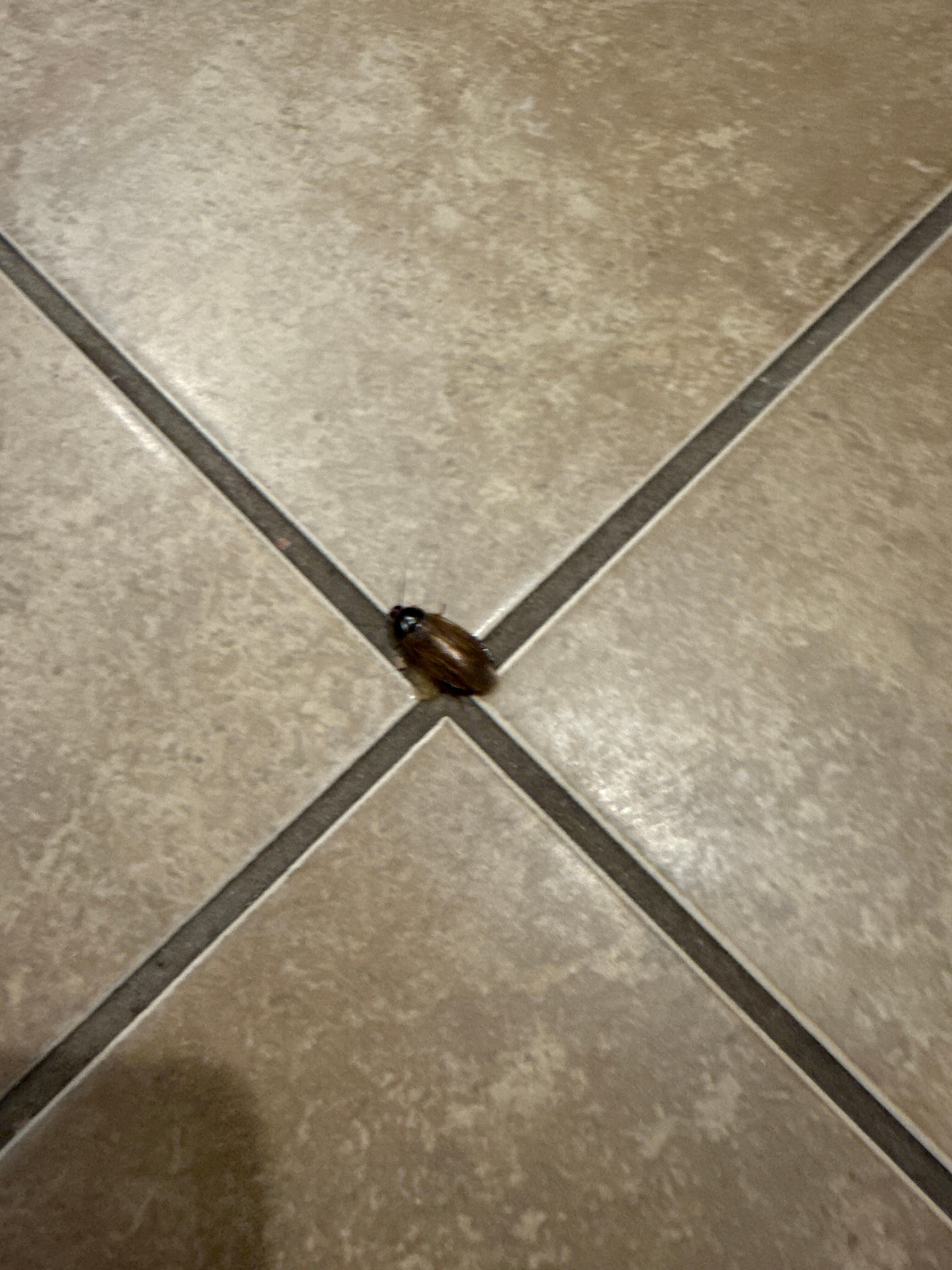 We had an unexpected visitor