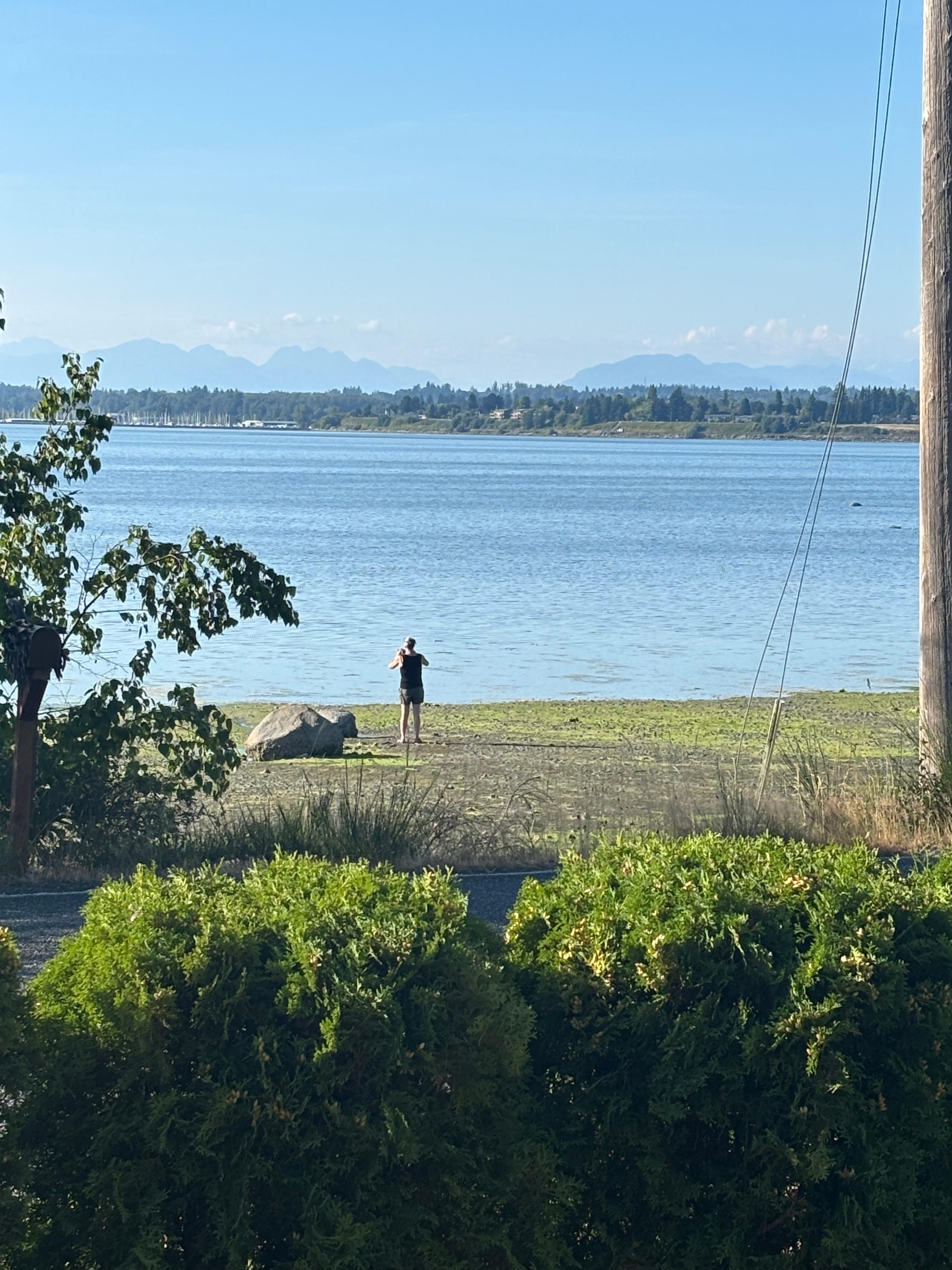 Exploring the tide coming in. 
