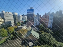 View from the room (8th floor)