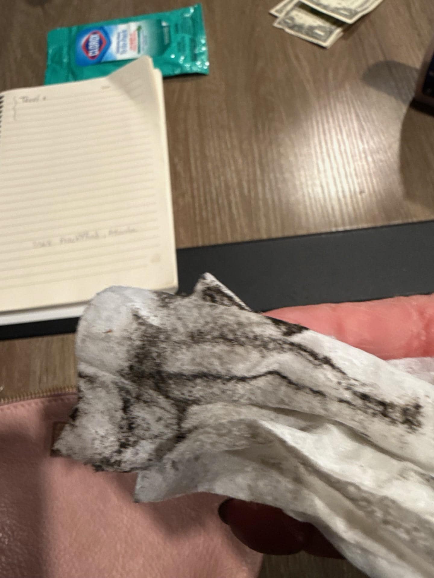 widowsill I wiped with clorox cloth