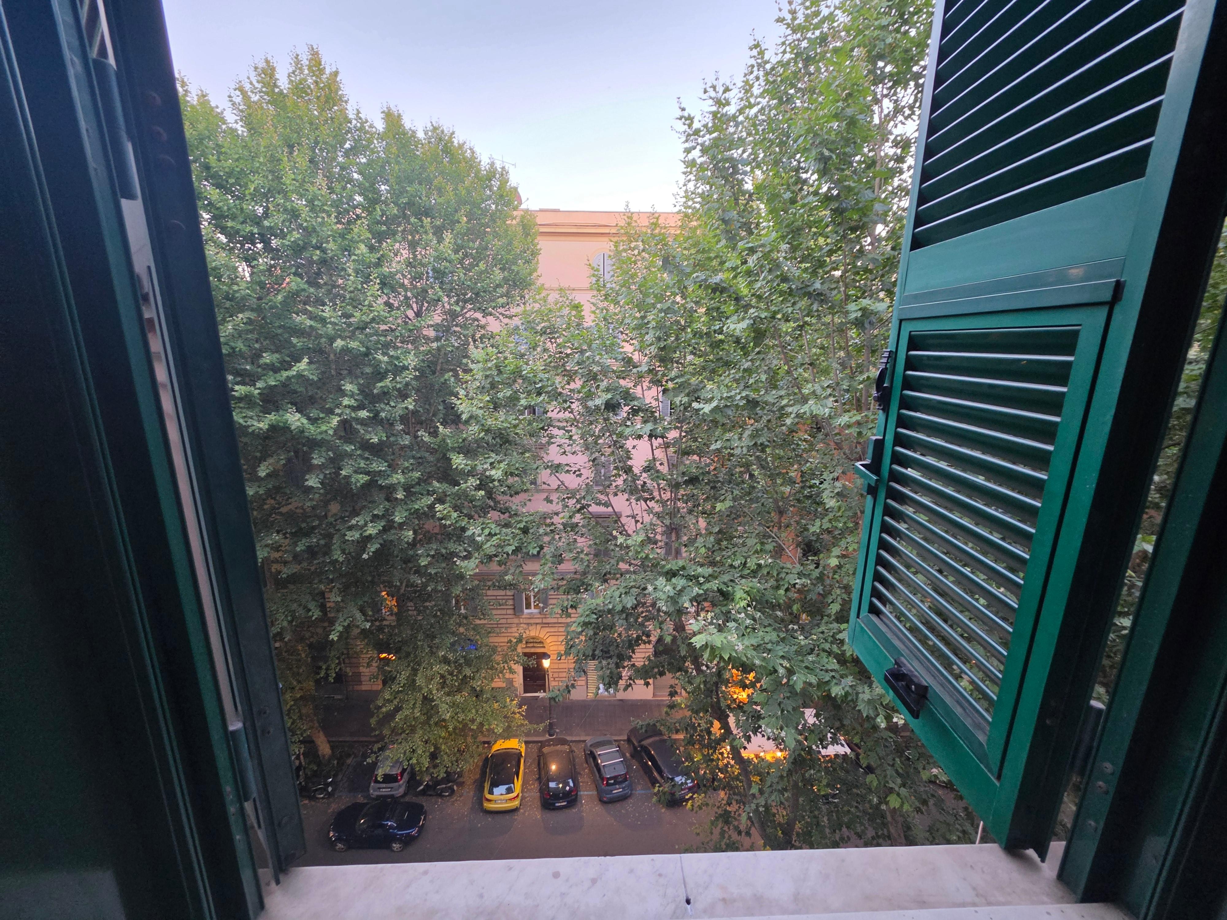 View from the window.