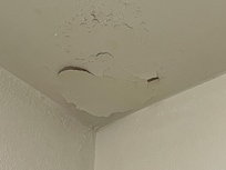 Ceiling above shower/tub