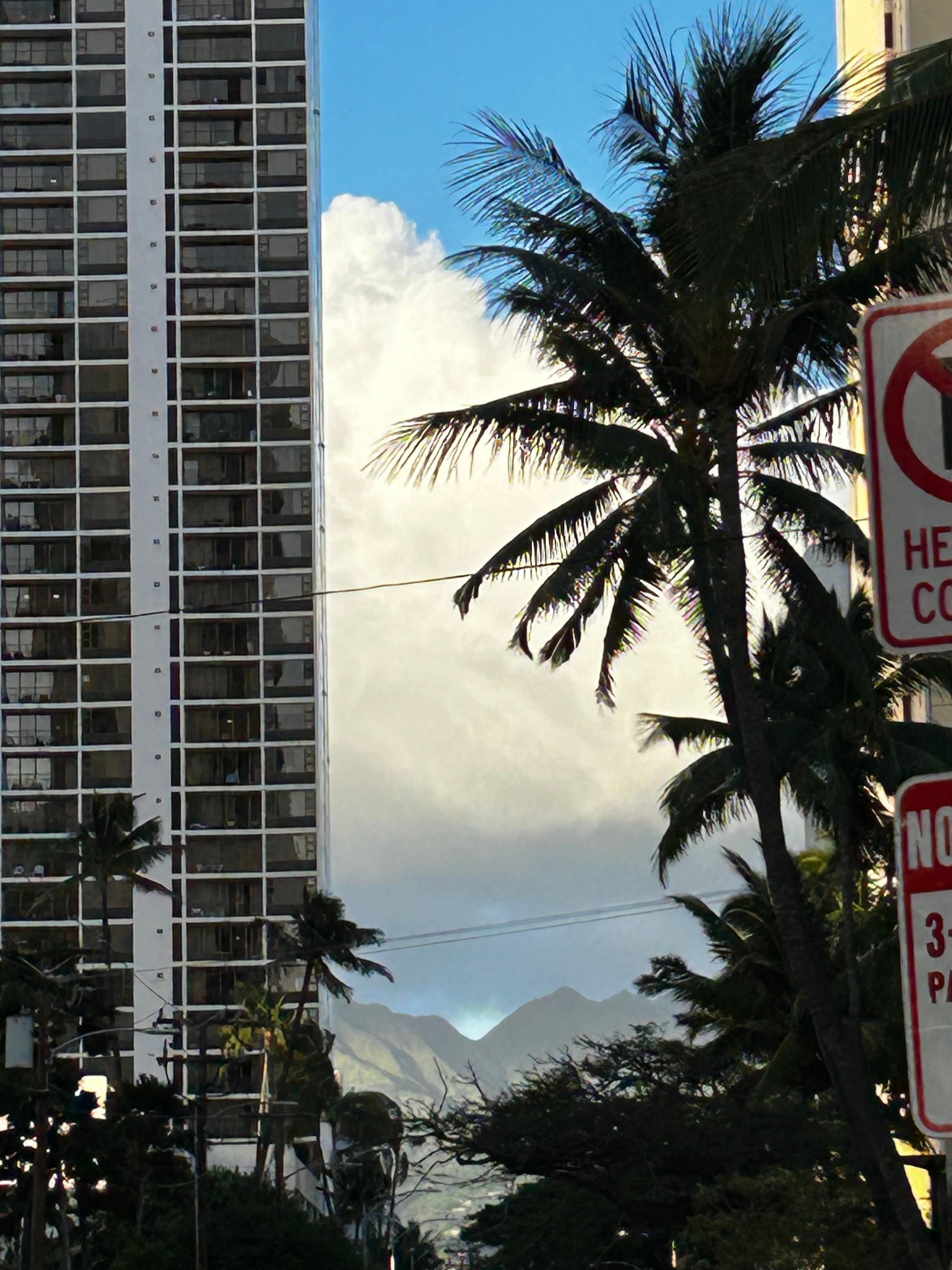 Via the beach as you can see lots of big buildings in the way