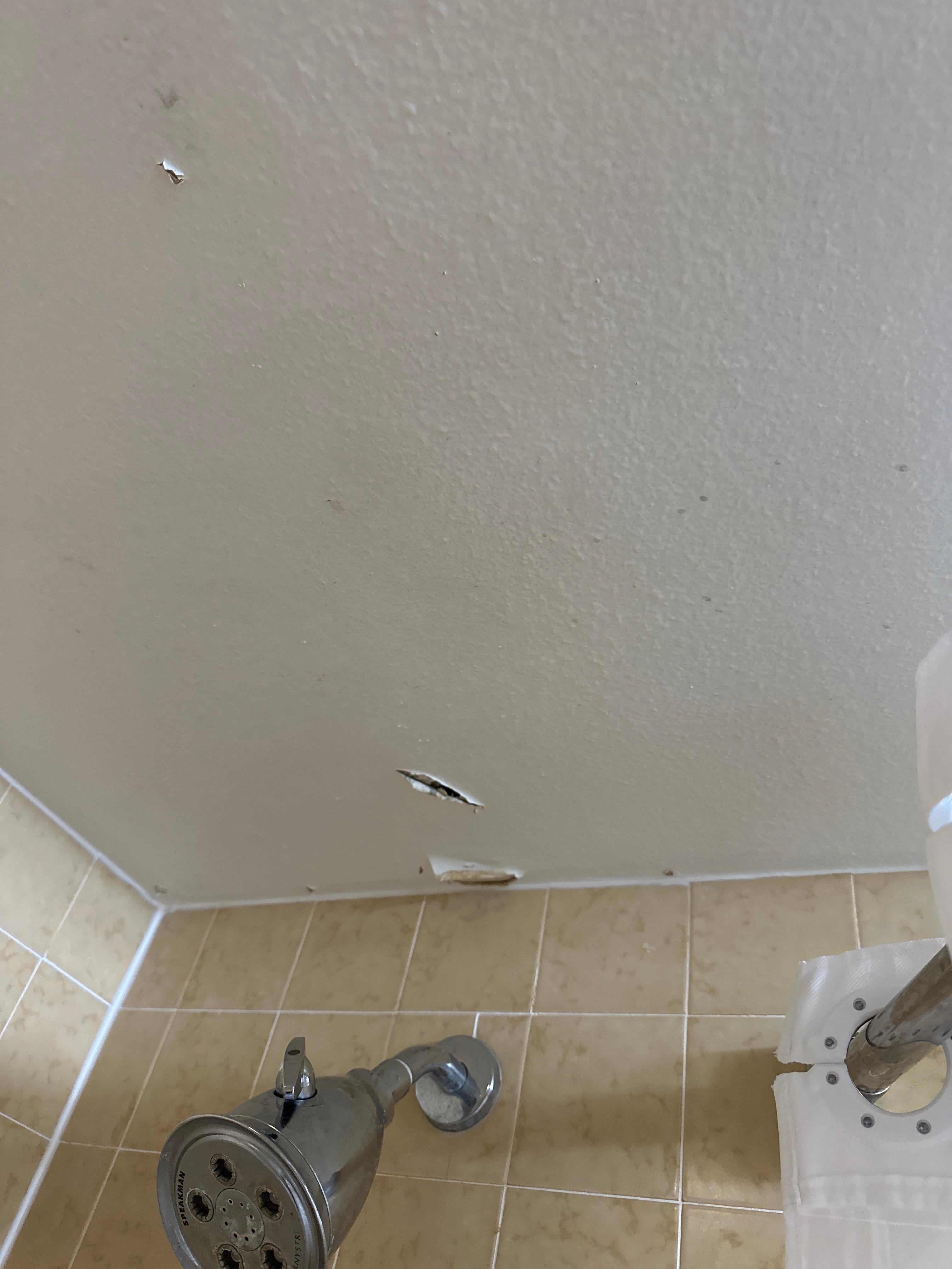 Holes in shower