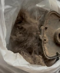 Hair from vacuuming bedroom