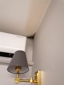 Schimmel I'm Zimmer