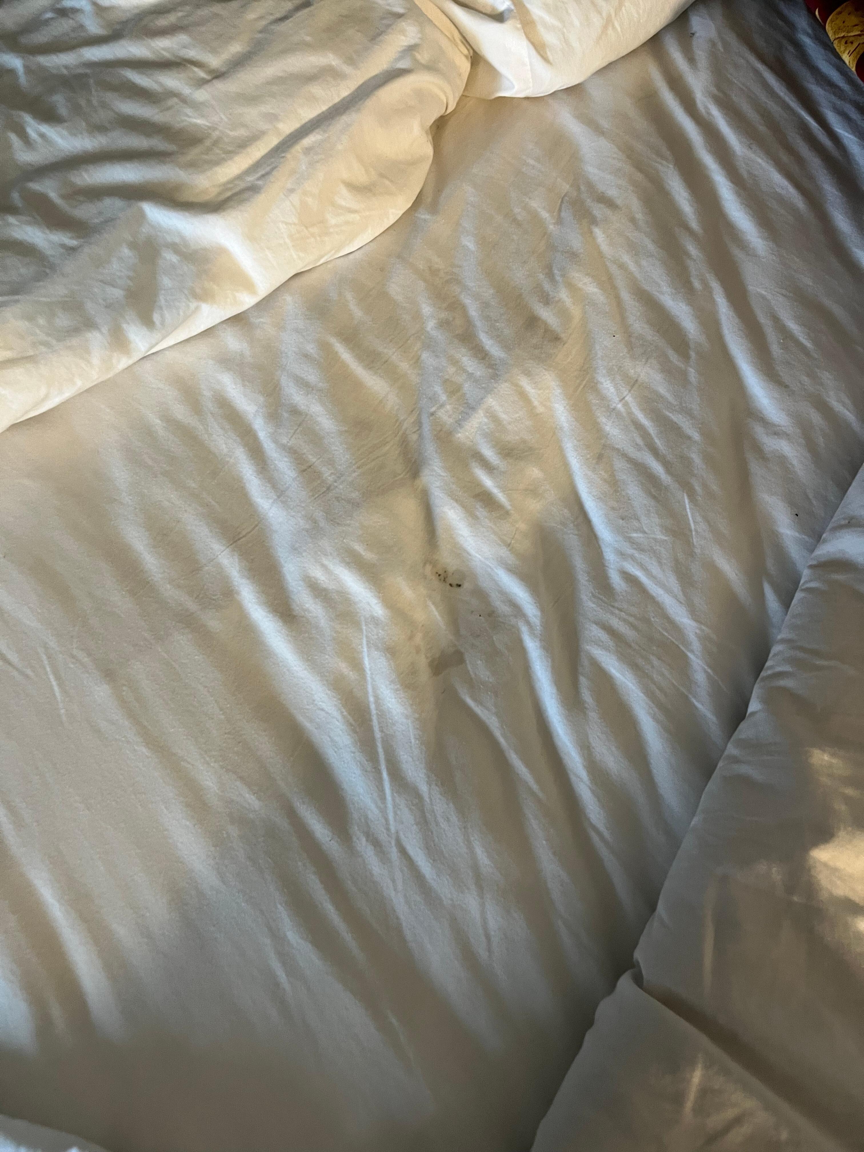 A different bedding dirty 