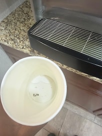 I tried to get some juice at breakfast, and only this came out.