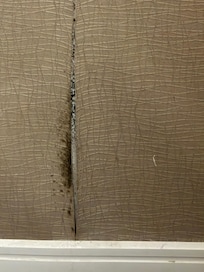 Mold on wall paper.