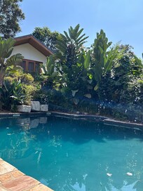 Pool at the retreat.