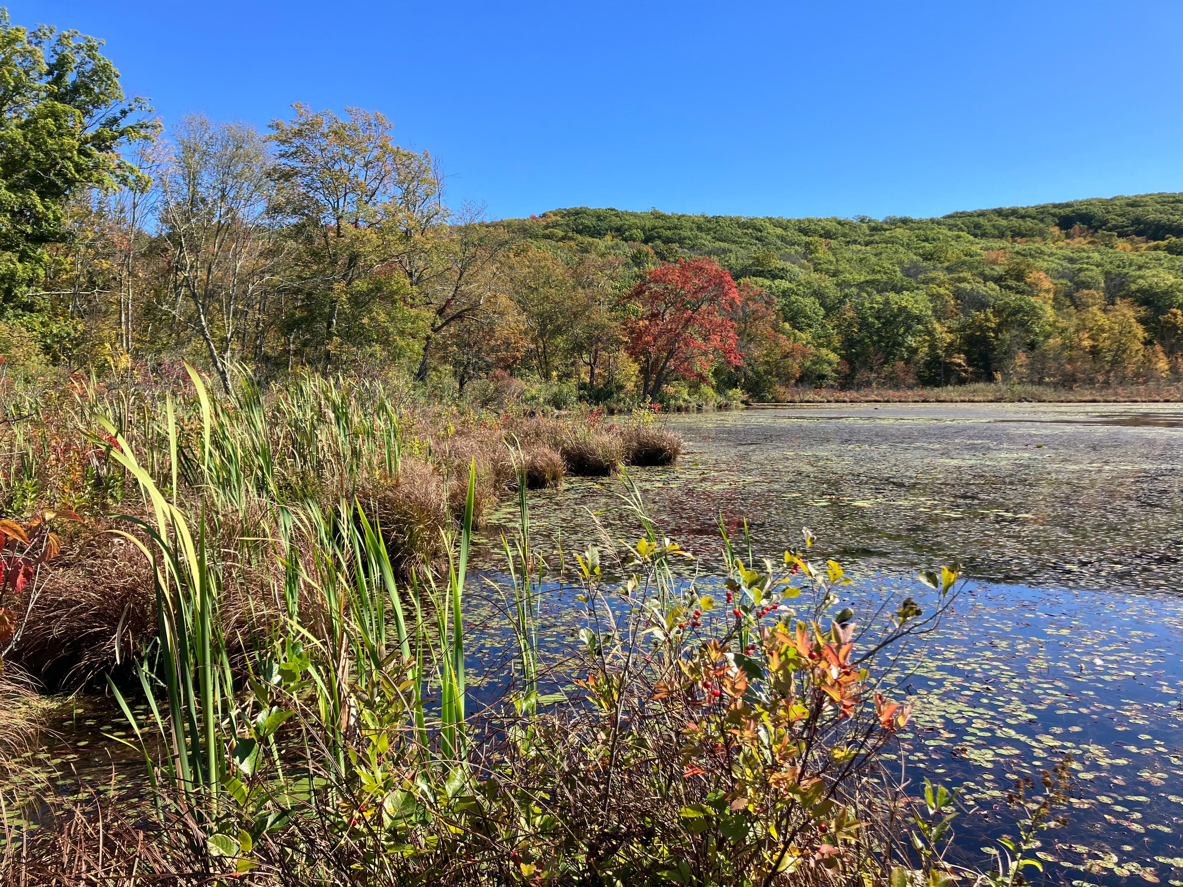 Sharon Audubon Center