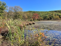 Sharon Audubon Center