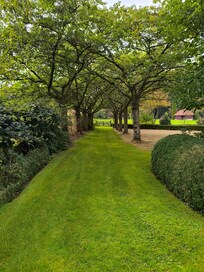 Maizicourt