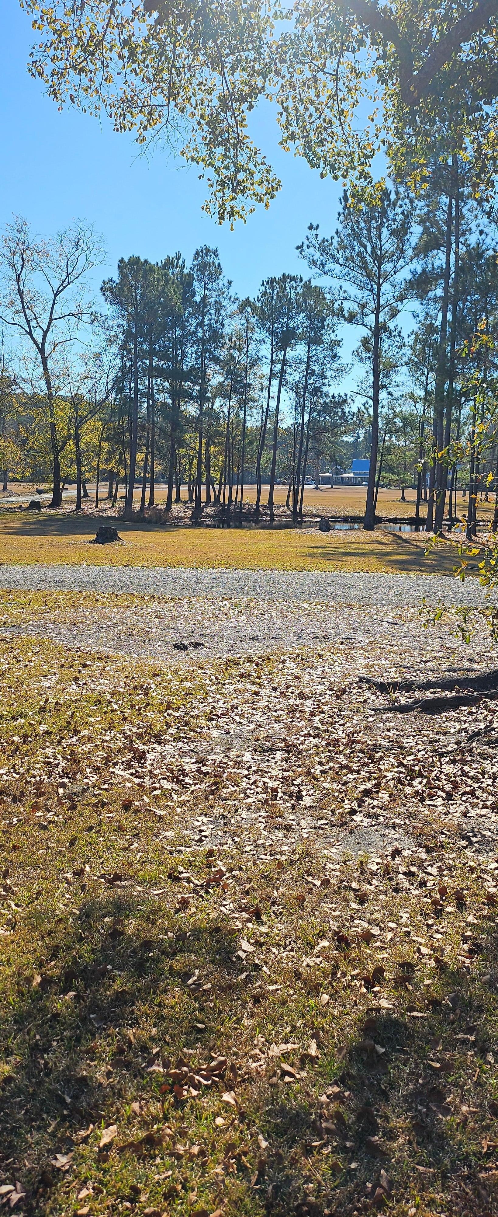 View of property and how pretty it is.