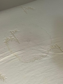 Stained mattress. I didn’t get pictures of them all. This bed didn’t have a mattress cover.