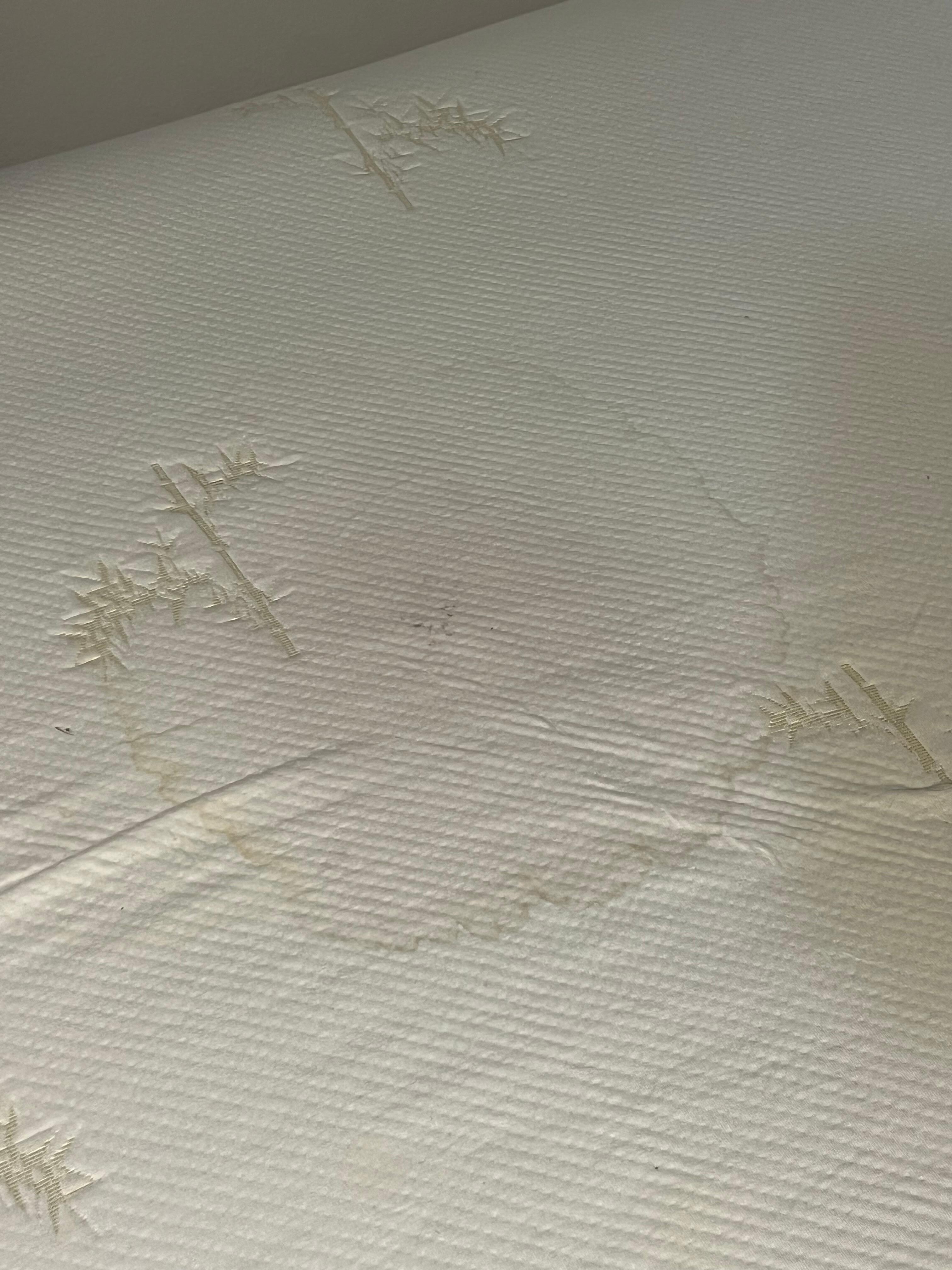 Stained mattress. I didn’t get pictures of them all. This bed didn’t have a mattress cover.