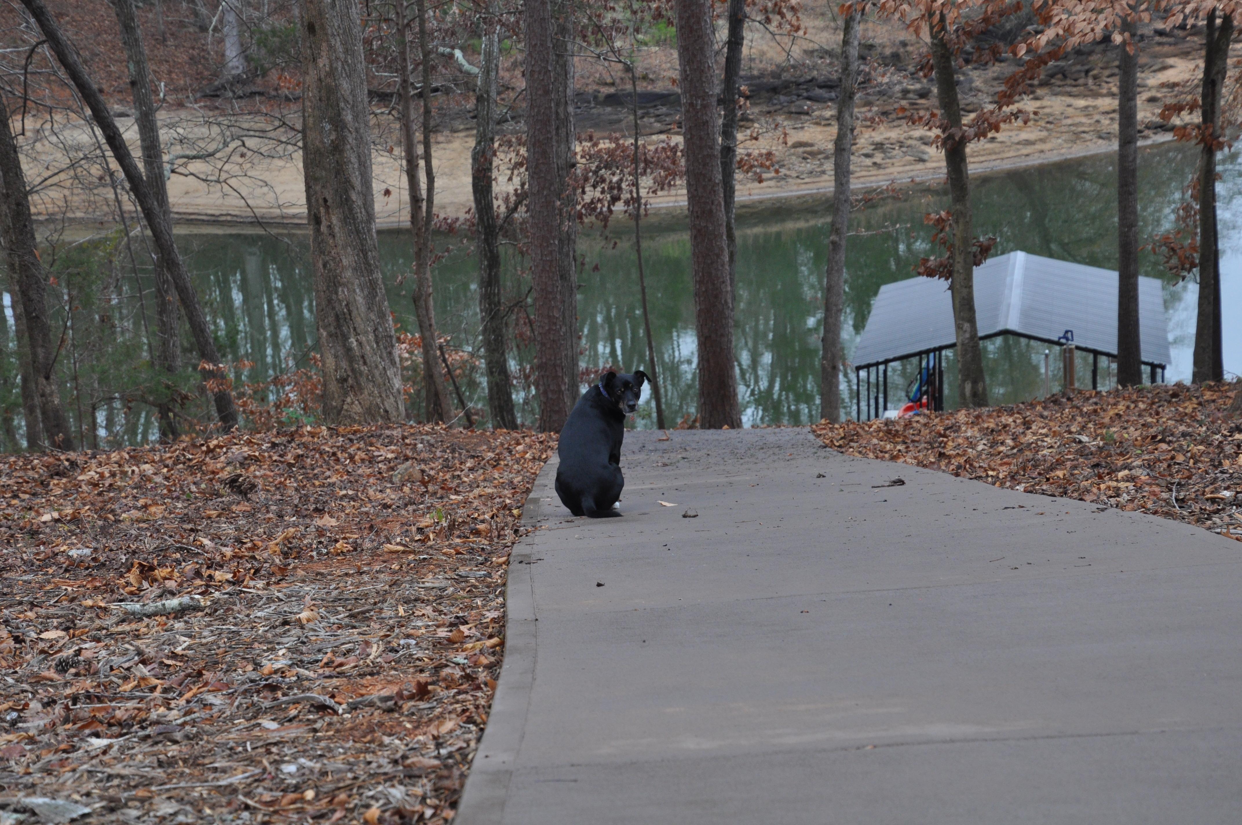 Squirt enjoying the view! 