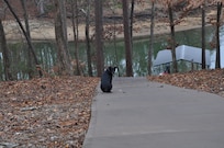 Squirt enjoying the view!