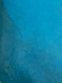 Plastic bristles floating in water after first “cleaning”