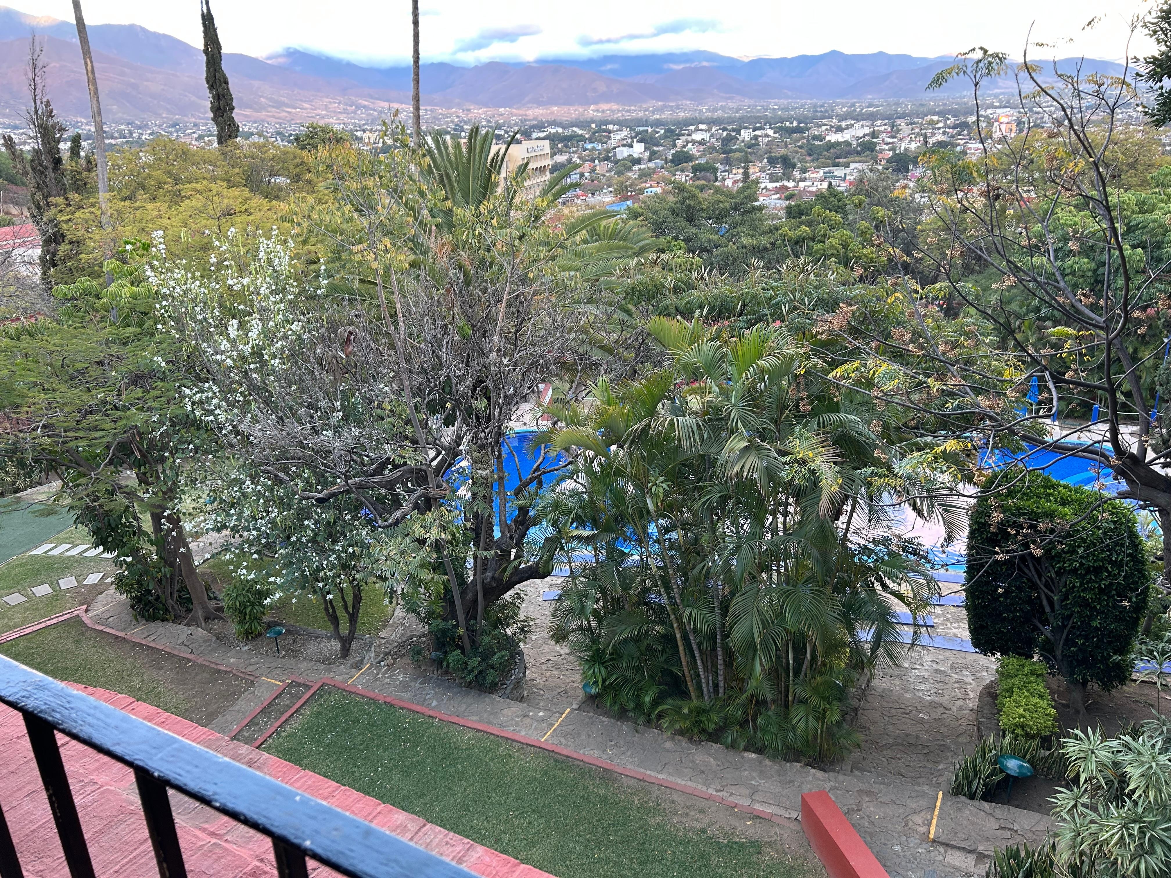 View from the open air restaurant