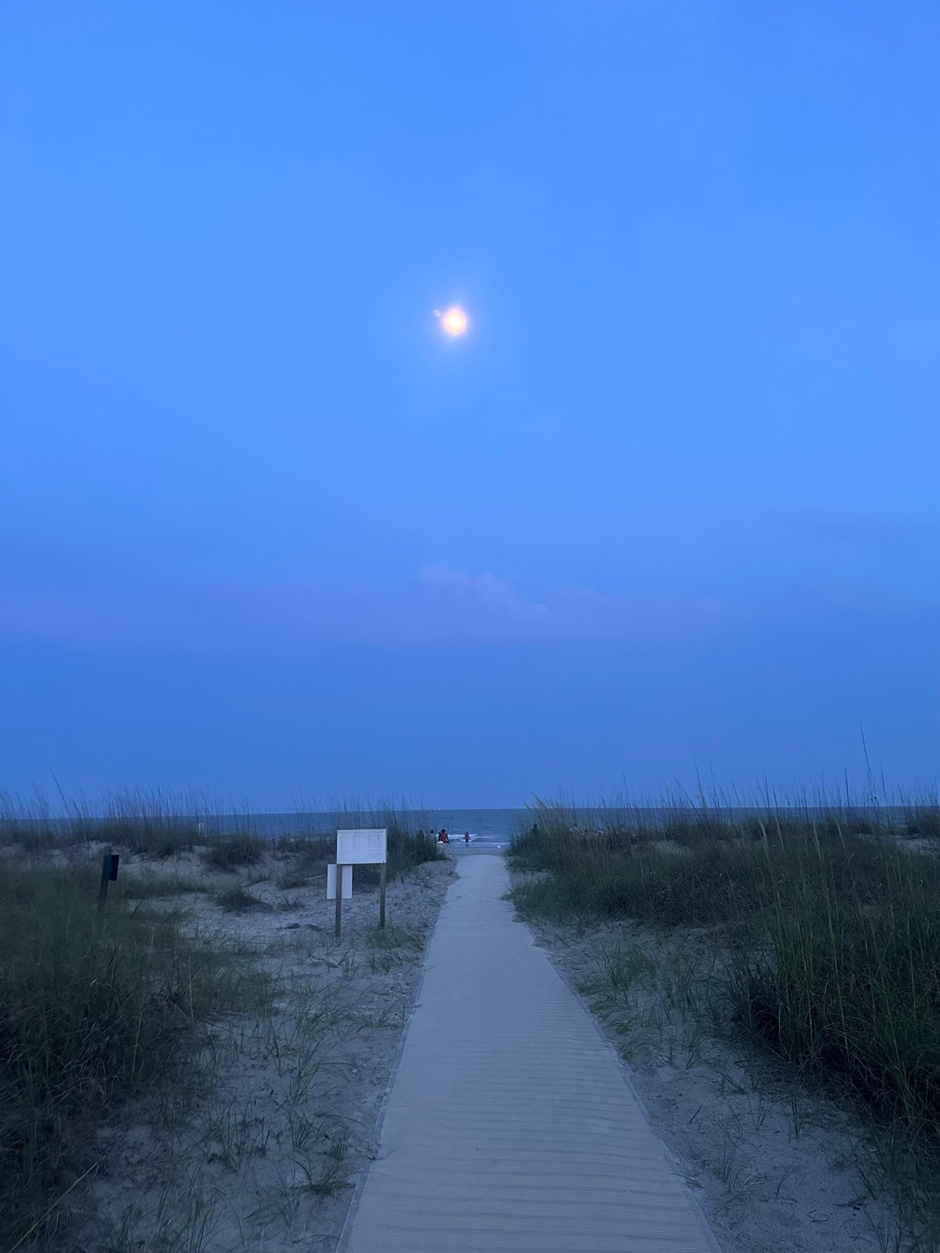 Evening walk out to the beach 