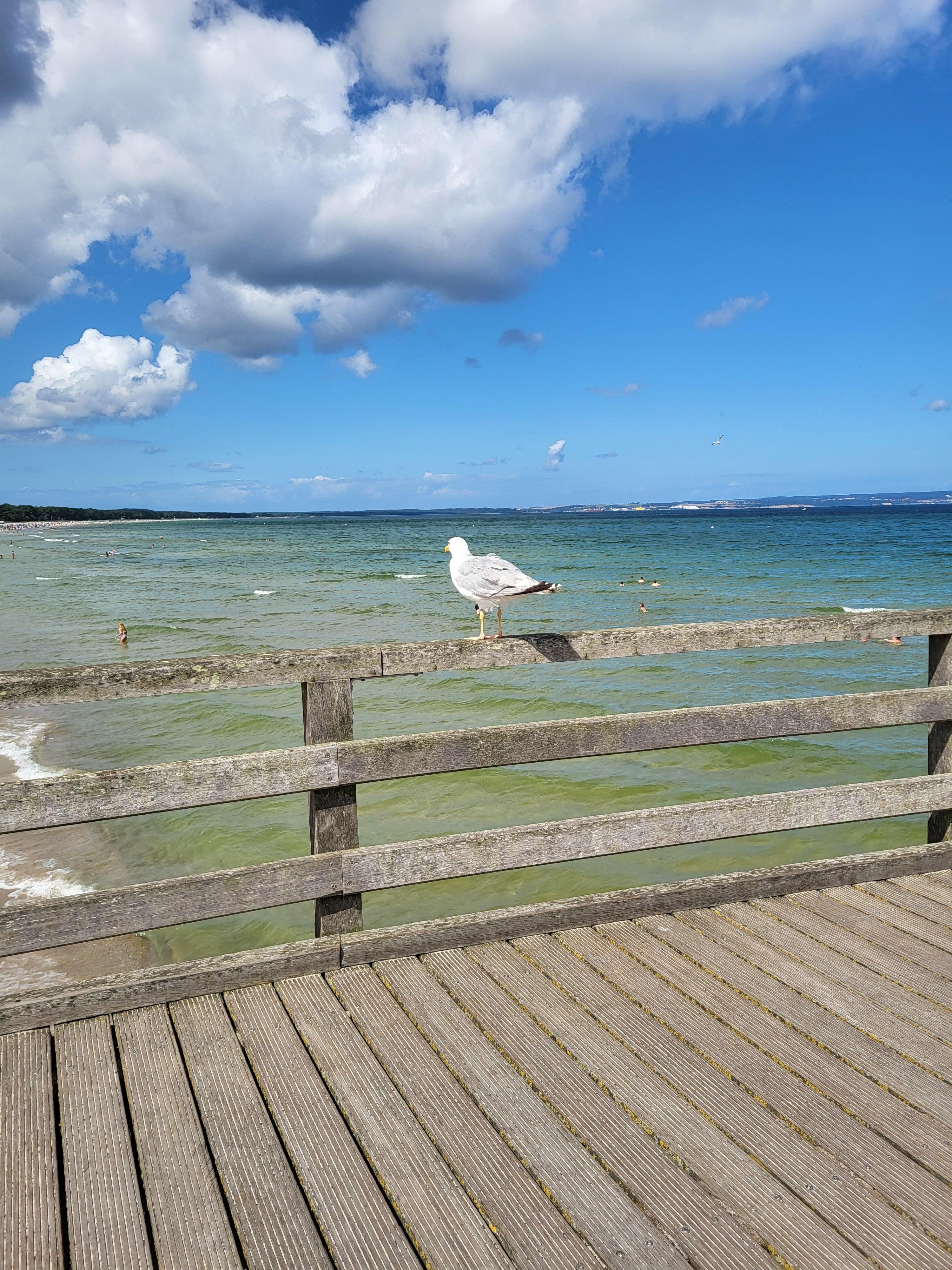Blick von der Seebrücke