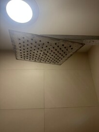 Pitted shower head