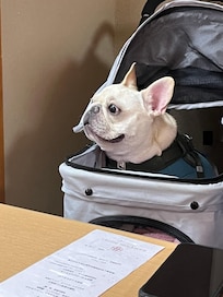 レストラン