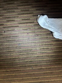 Spots of blood in front of the sink, which is in the bedroom