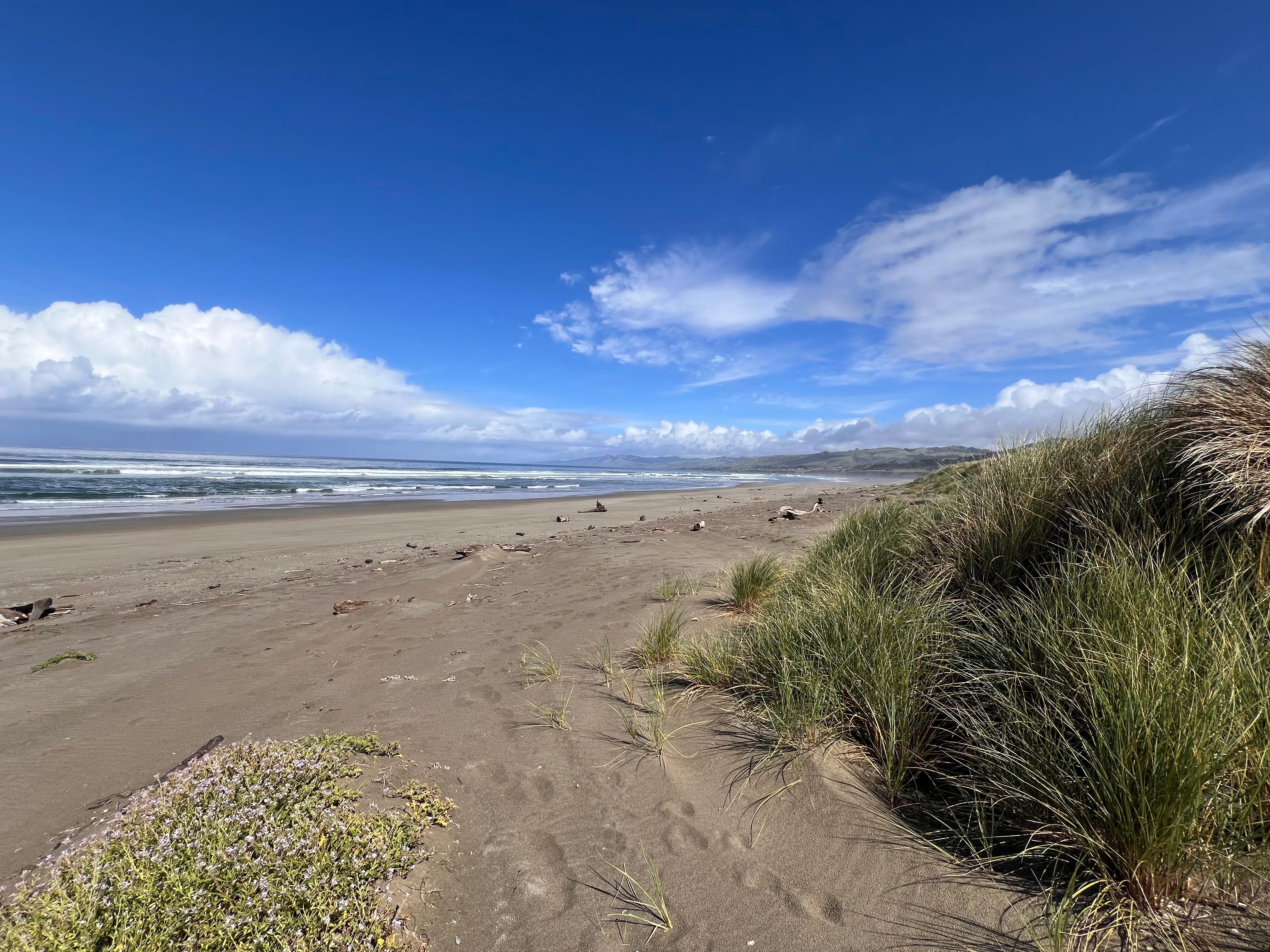 Salmon Creek Beach