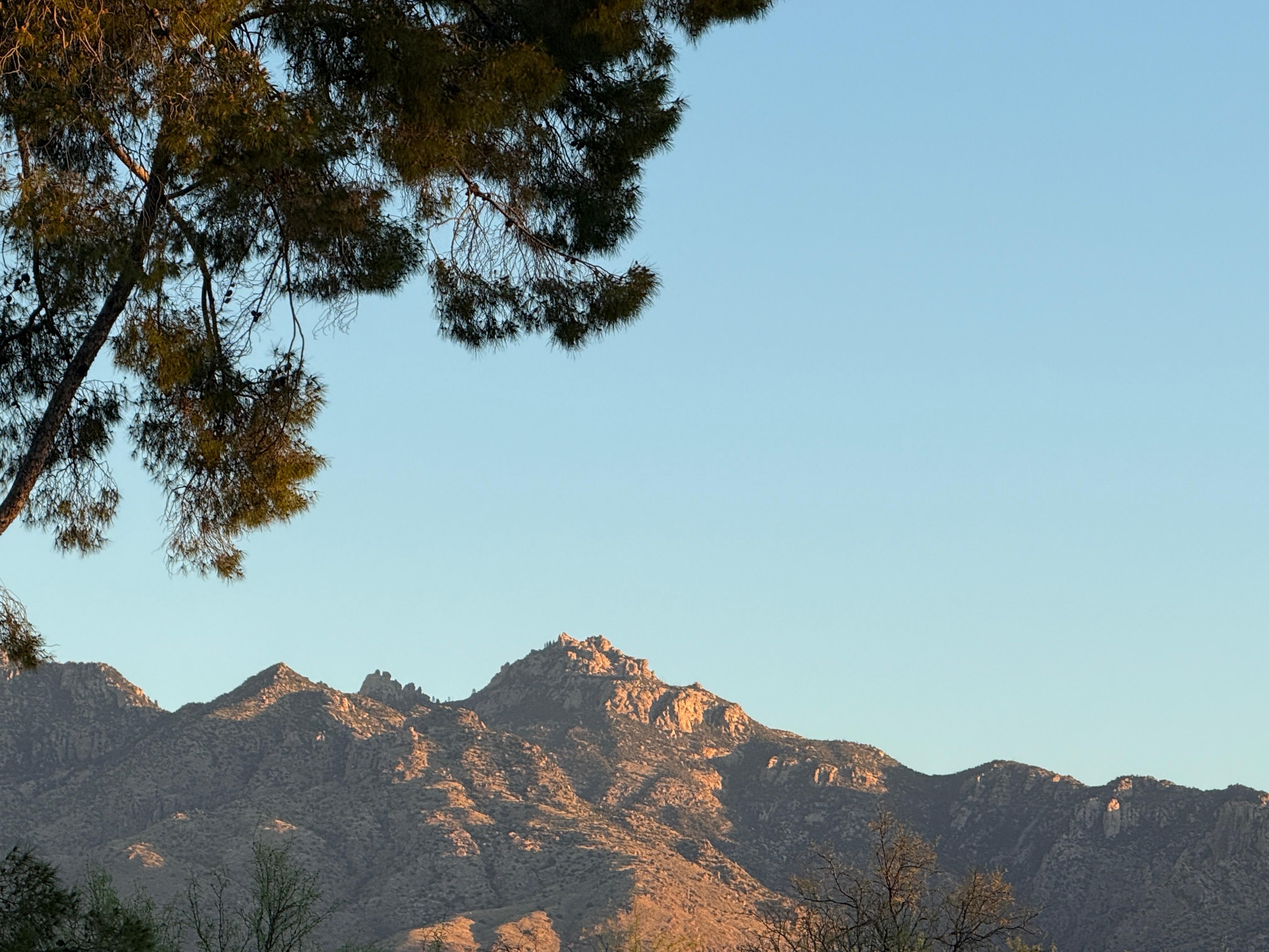 View of Catalina Mountains out out front door. 