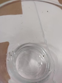 Das Glas stellte uns der Kellner hin
