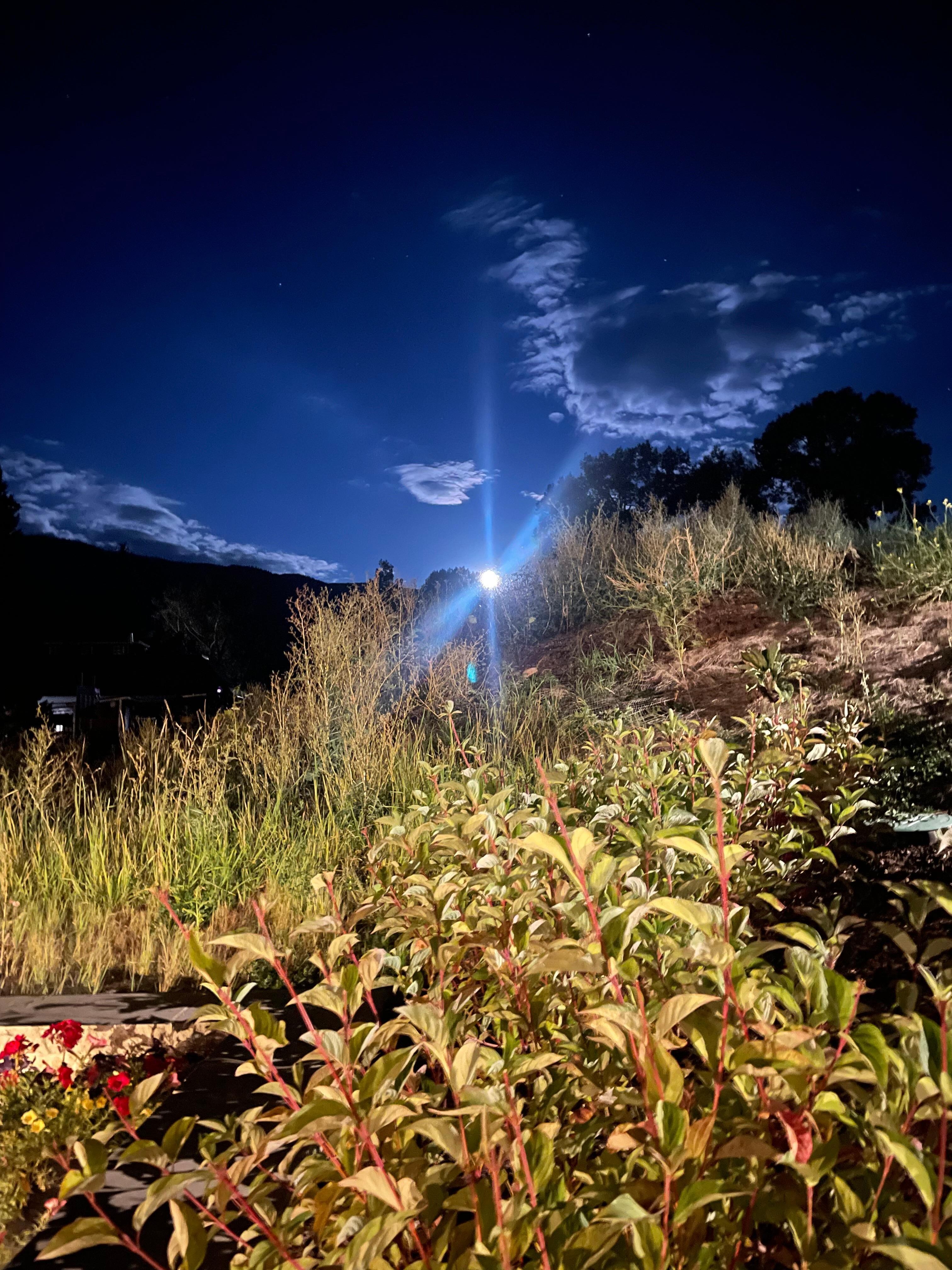 Moonlit sky from the pool area