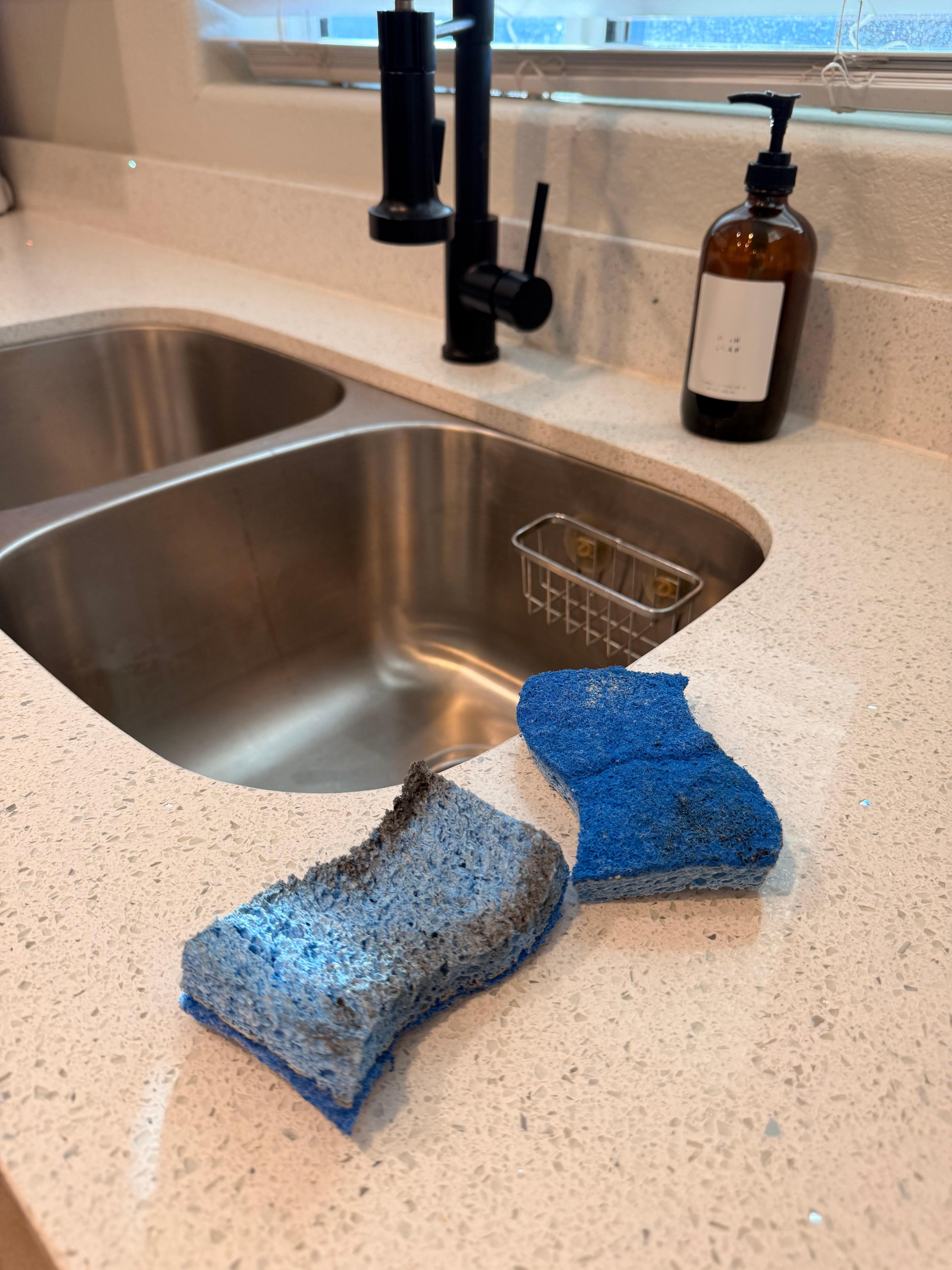 Used and dirty sponges- no new sponges. 