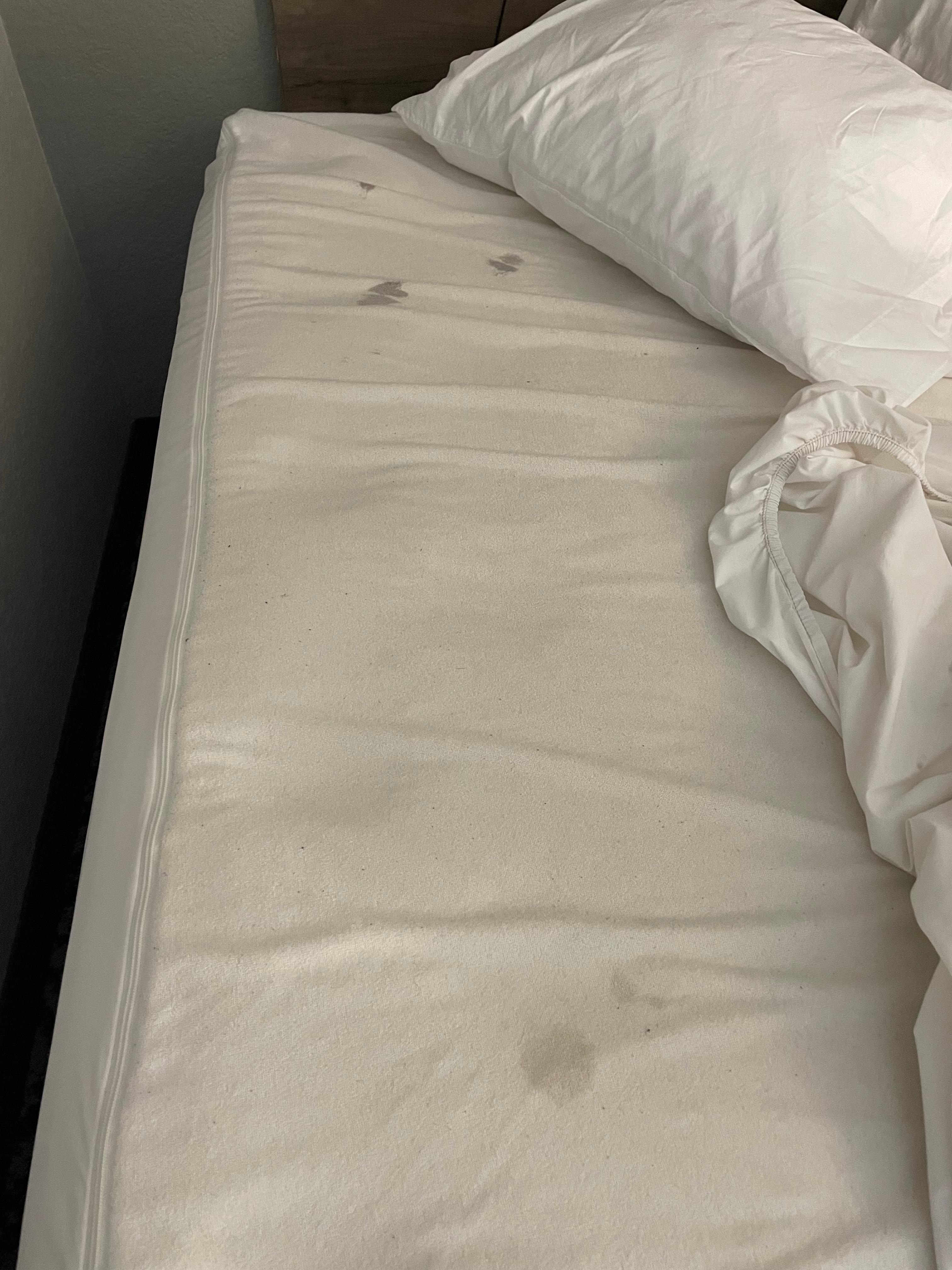 Bed pad (stains)